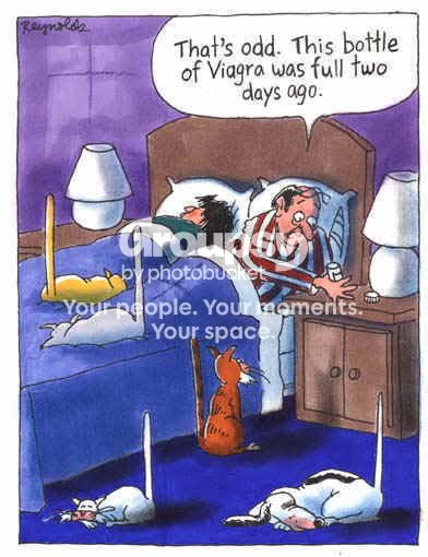 Humor